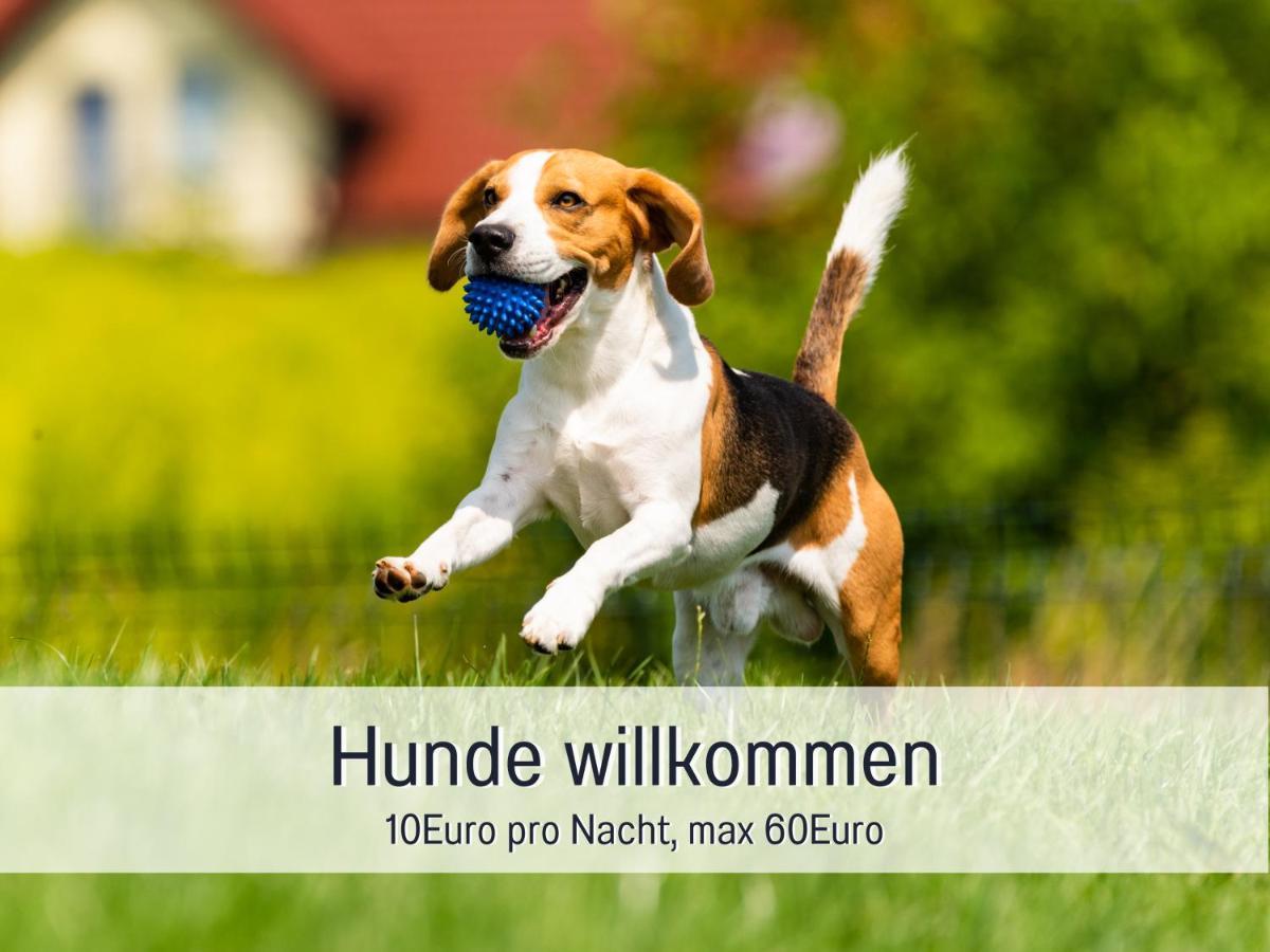 Ramoshansenhof Hofglueck 4pers Mit Hund Steinberg (Schleswig-Holstein)