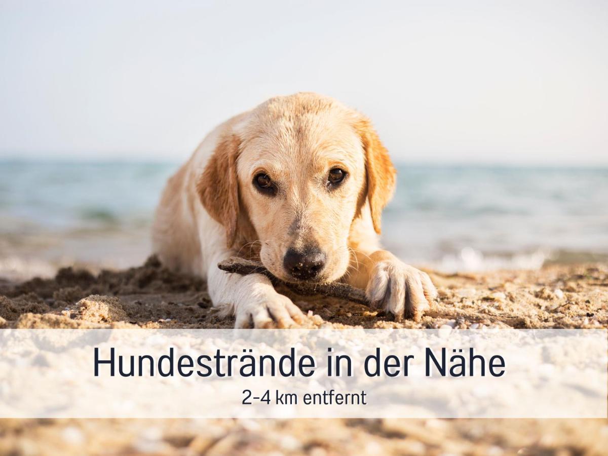Ramoshansenhof Hofglueck 4pers Mit Hund