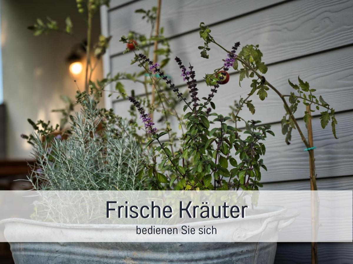 Ramoshansenhof Hofglueck 4pers Mit Hund *