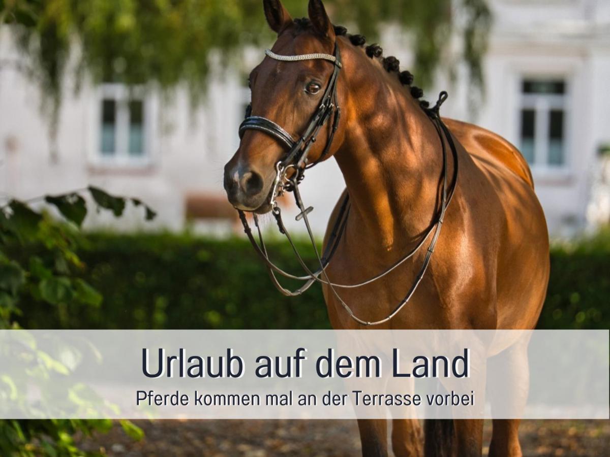 Ramoshansenhof Hofglueck 4pers Mit Hund * Steinberg (Schleswig-Holstein)